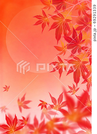 紅葉するもみじと落ち葉と満月 背景イラスト 赤 オレンジのイラスト素材