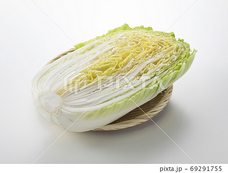白菜 白菜 69291755