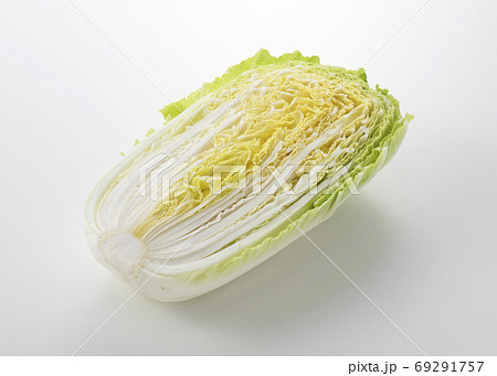 白菜 69291757