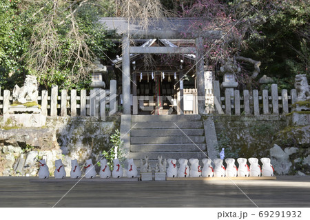 大豊神社 鼠みくじ 大豊神社 鼠みくじ 69291932