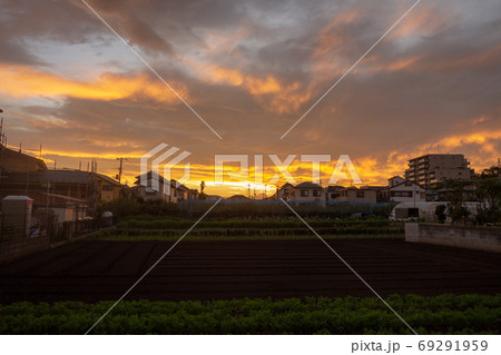 夕焼けの日本の畑 69291959
