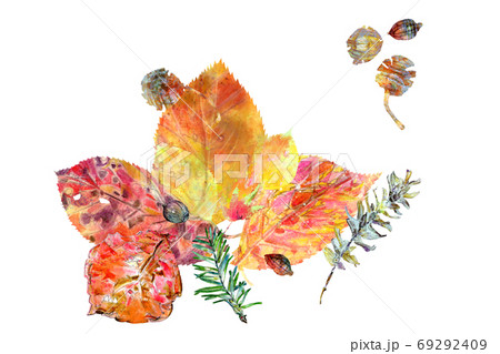 美しく紅葉した落ち葉とどんぐりの手描きイラストのイラスト素材