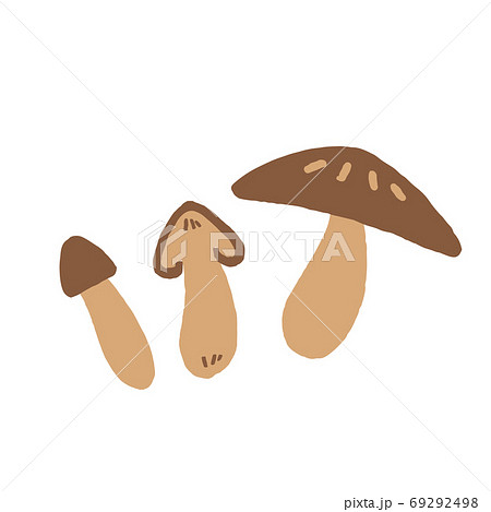 キノコのイラスト 69292498