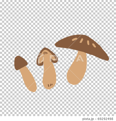 Mushroom illustration 69292498