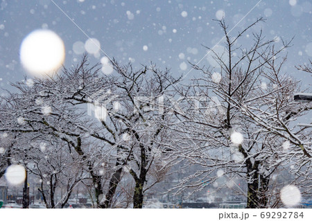 冬の本栖湖付近の雪の風景 69292784