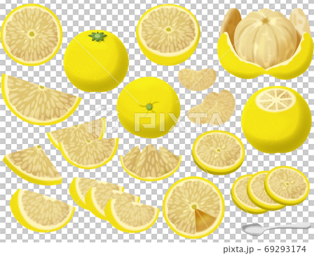 各種葡萄柚 69293174