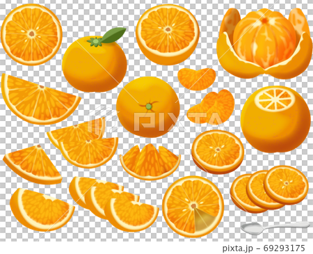 色々なオレンジ 69293175