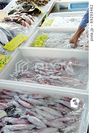 Seafood, Fresh Squid in seafood market, Thailand Seafood, Fresh Squid in seafood market, Thailand 69293462