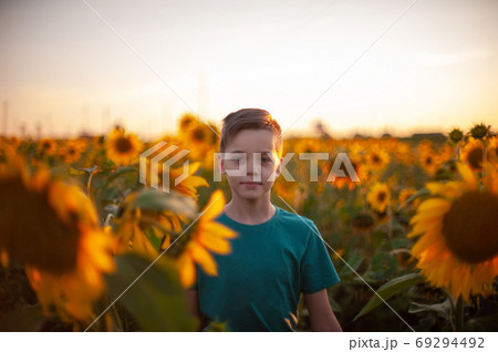 Portrait of beautiful blond kid boy on summer sunflower field 69294492