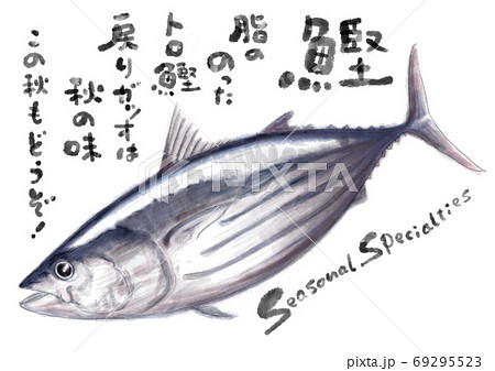 戻り鰹_D手描き_文字有り 戻り鰹_D手描き_文字有り 69295523