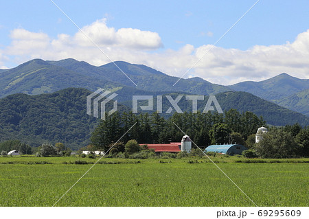 北海道　十勝地方　牧場のある風景 69295609