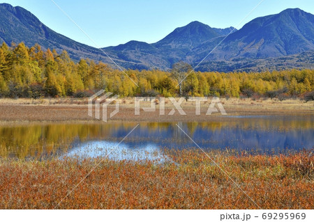 水の溜まった小田代ヶ原に紅葉の森と奥日光の山々 69295969