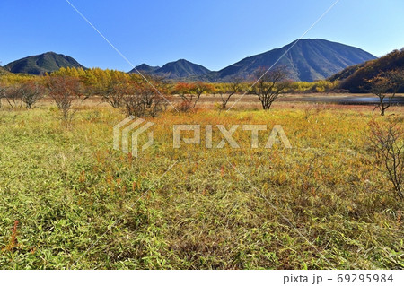 水の溜まった小田代ヶ原に紅葉の森と奥日光の山々 69295984