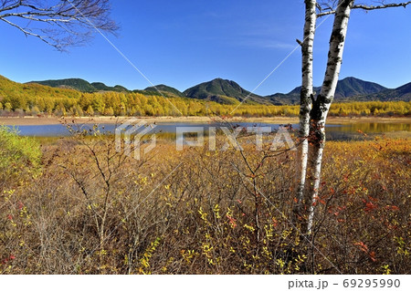 水の溜まった小田代ヶ原に紅葉の森と奥日光の山々 水の溜まった小田代ヶ原に紅葉の森と奥日光の山々 69295990