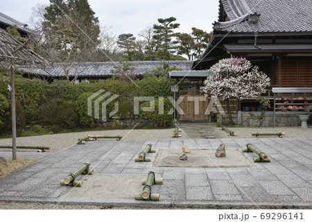 法住寺　花梅（思いのまま） 69296141