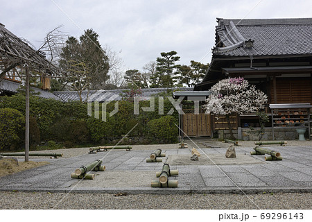 法住寺　花梅（思いのまま） 69296143