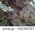 Horizontal photo of cave with stalactites and stalagmites in Tha 69296397