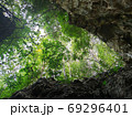 uprisen view of green leaves trees and rocks frame in the forest 69296401