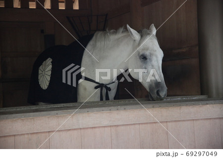 伊勢神宮 69297049