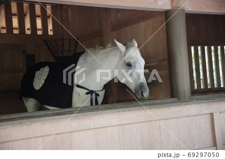 伊勢神宮 69297050