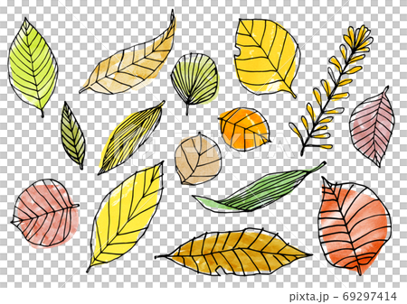 背景素材 手描き 葉っぱ 枯葉のイラスト素材
