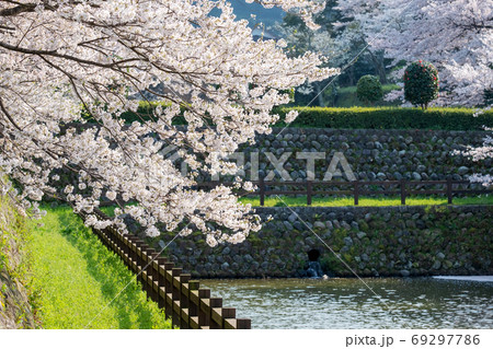鹿野町の春風景 鹿野町の春風景 69297786