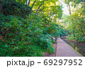 等々力渓谷　風景 69297952