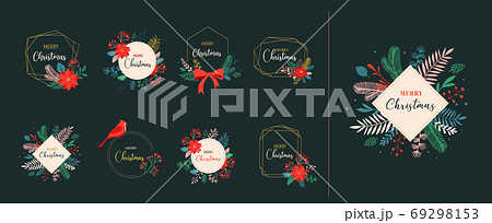 Christmas backgrounds and New year abstract botanical illustrations, cards and patterns with red 69298153