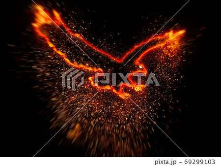 Abstract Firebird Flaunting The Darkness Stock Illustration