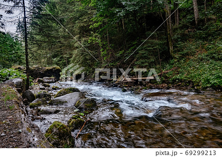 Mountain stream in High Tatras National Park, 69299213