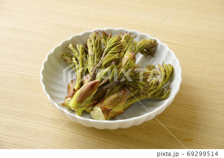 たらの芽 69299514