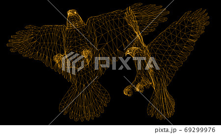 Isolated Low Poly graphic design of . Eagles -3d rendering. 69299976