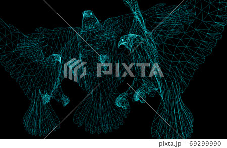 Isolated Low Poly graphic design of . Eagles -3d rendering. 69299990