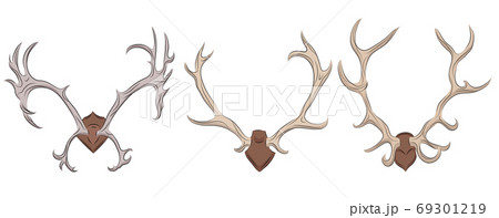 Set of different deer antlers. 69301219