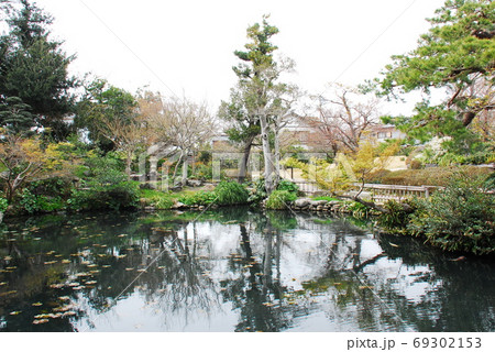 清水家住宅の庭園(静岡県掛川市) 清水家住宅の庭園(静岡県掛川市) 69302153