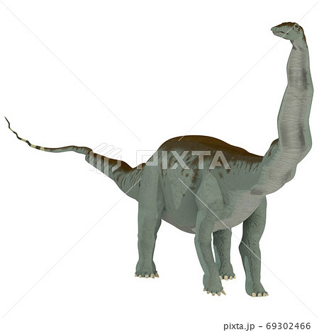 アパトサウルス☆ブロントサウルス アパトサウルス☆ブロントサウルス 69302466