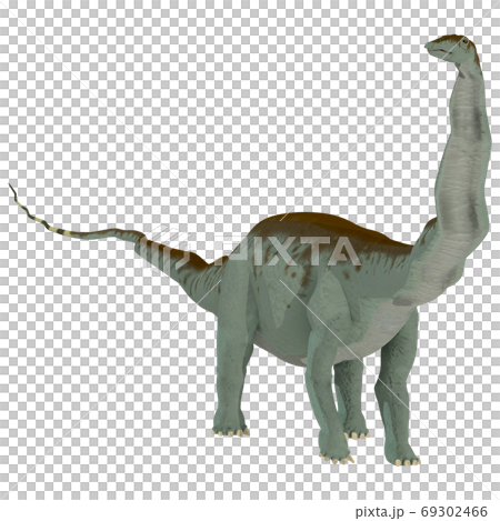 アパトサウルス☆ブロントサウルス アパトサウルス☆ブロントサウルス 69302466