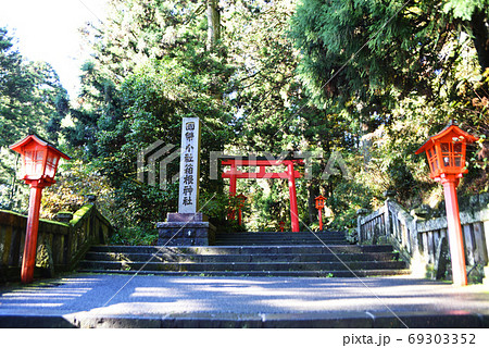 箱根神社の鳥居 69303352