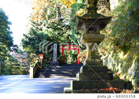 箱根神社の鳥居 69303358