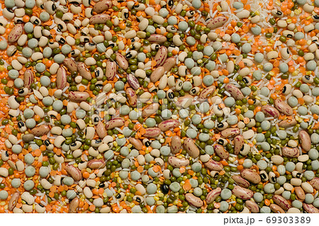 Variety of pulses essential for human life 69303389