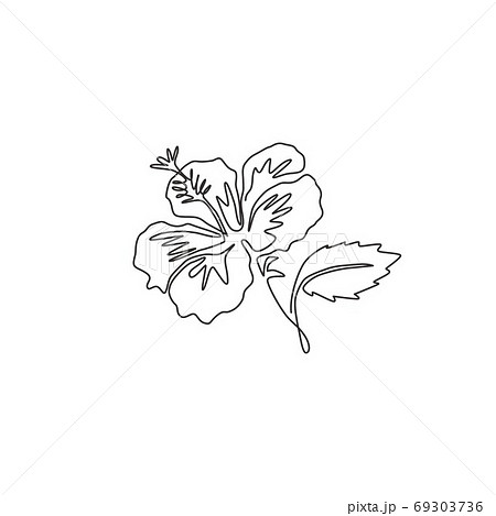 One Single Line Drawing Of Beauty Fresh のイラスト素材 One Single Line Drawing Of Beauty Fresh のイラスト素材
