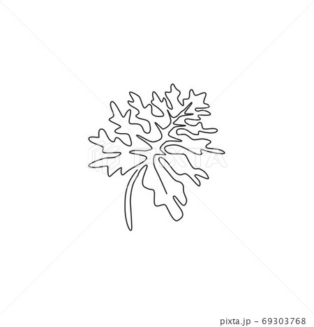 Single continuous line drawing tropical leaf plant 69303768