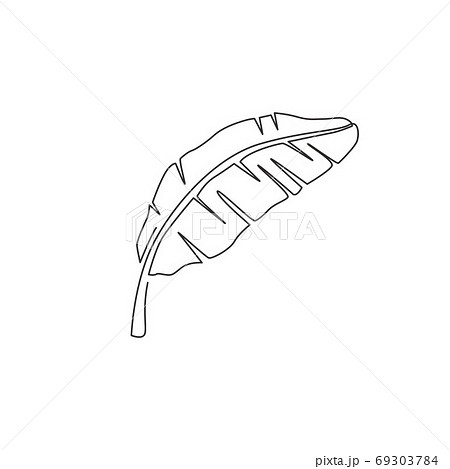 One single line drawing of tropical banana leaf plant One single line drawing of tropical banana leaf plant 69303784