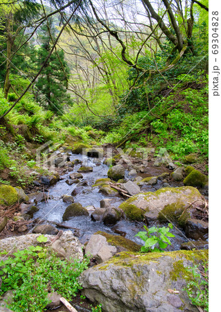 味土野ガラシャ大滝と清流 69304828