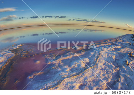 Dunaliella .salinas grandes.Argentina Dunaliella .salinas grandes.Argentina 69307178