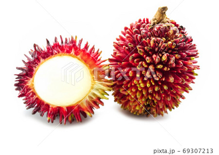 Pulasan, Nephelium mutabile or Nephelium ramboutan-ake isolate on white background 69307213