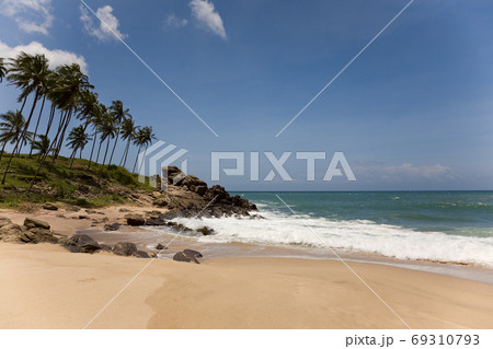 Tropical paradise with trees on beach against blue sky with clo Tropical paradise with trees on beach against blue sky with clo 69310793