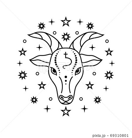 Color Icon of the Zodiac Sign on a White Background Stock Illustration -  Illustration of capricorn, aquarius: 241394168