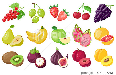 Cartoon fruits. Tropical fruit, banana, fig, apple and dragon fruit, citrus and berries, vegetarian exotic fruits vector illustration icons set 69311548