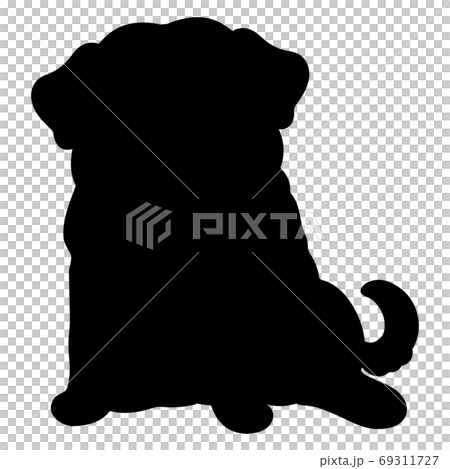Sitting pug silhouette Sitting pug silhouette 69311727